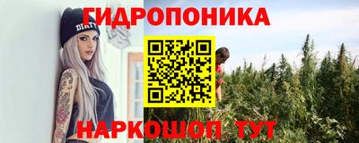 шишки Рузаевка