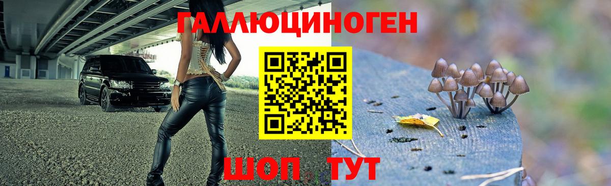 Псилоцибиновые грибы мицелий Сергиев Посад