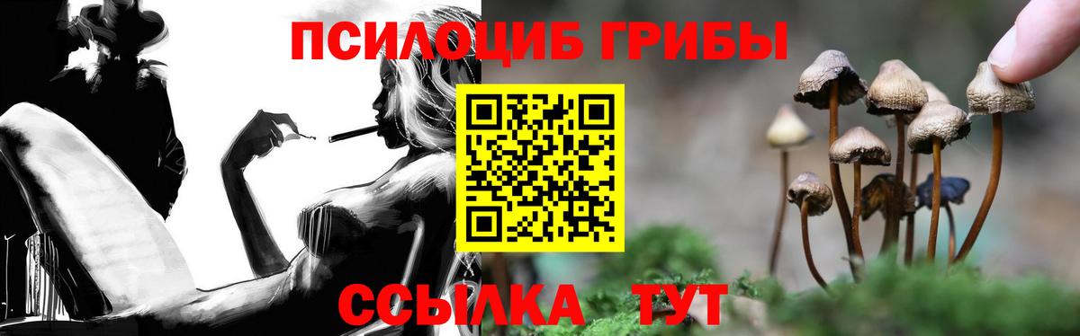 Сергиев Посад  Псилоцибиновые грибы Magic Shrooms  Вход с VPN 
